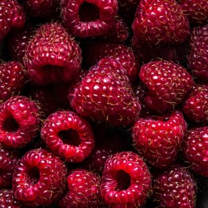 Black Raspberry Vanilla Fragrance Oil - Trial Size