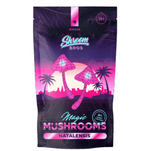 Natalensis Magic Mushroom